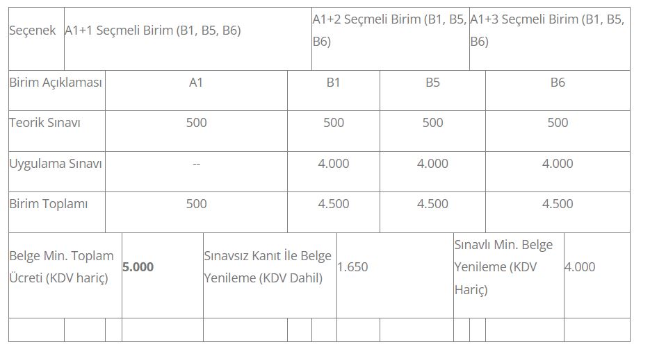Çelik Kaynakçısı 11UY0010-3/04