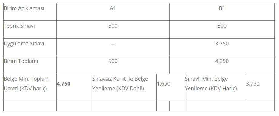 11UY0015-4/03 Direnç Kaynak Ayarcısı