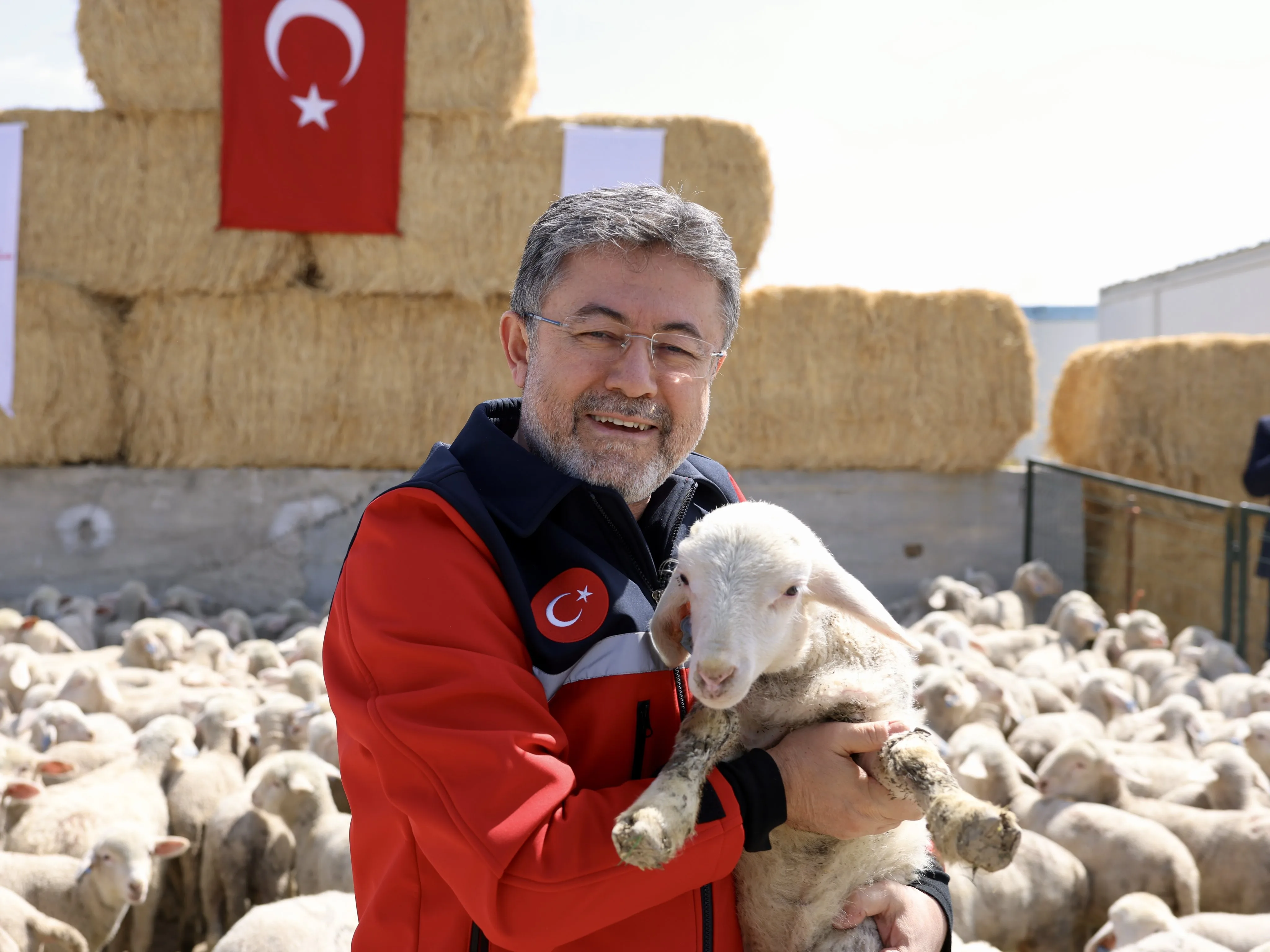 TİGEM'de Koyun ve Kuzuların Buluşma Anları