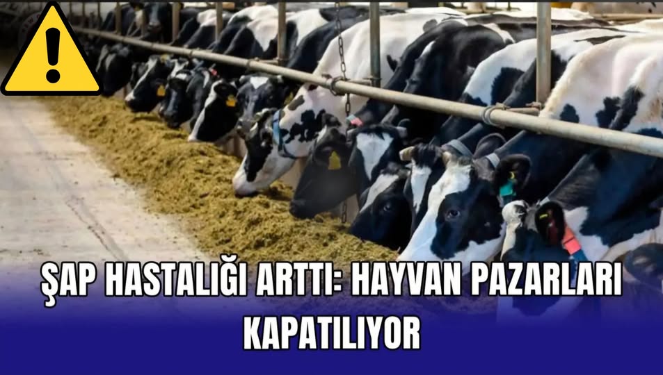 İyi Parti'den Hayvancılık Krizi Uyarısı: İthalat Durdurulmalı, Karantina Genişletilmeli
