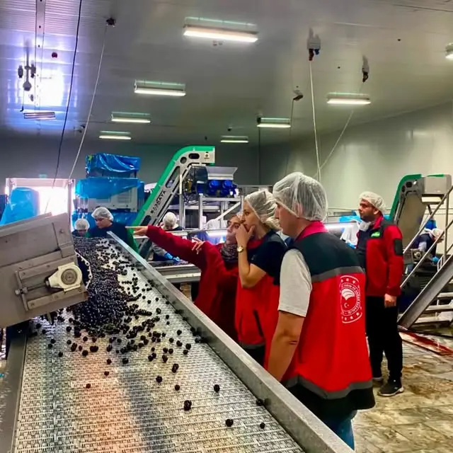 Arılı Kovan Desteği Çalışmaları Devam Ediyor
