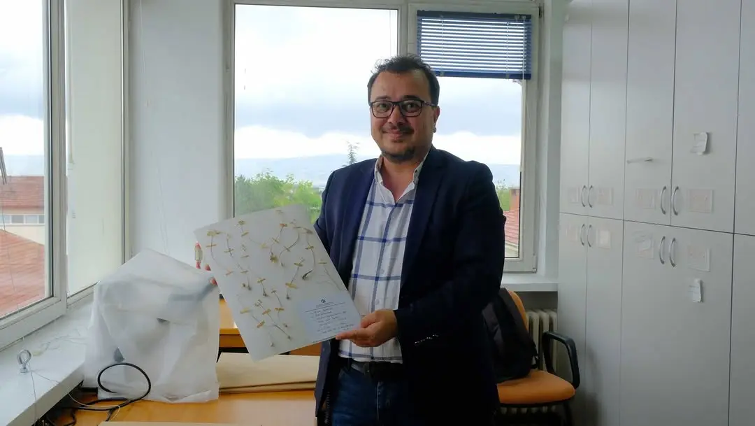 Anadolu Üniversitesi'nden iki yeni endemik tür keşfi