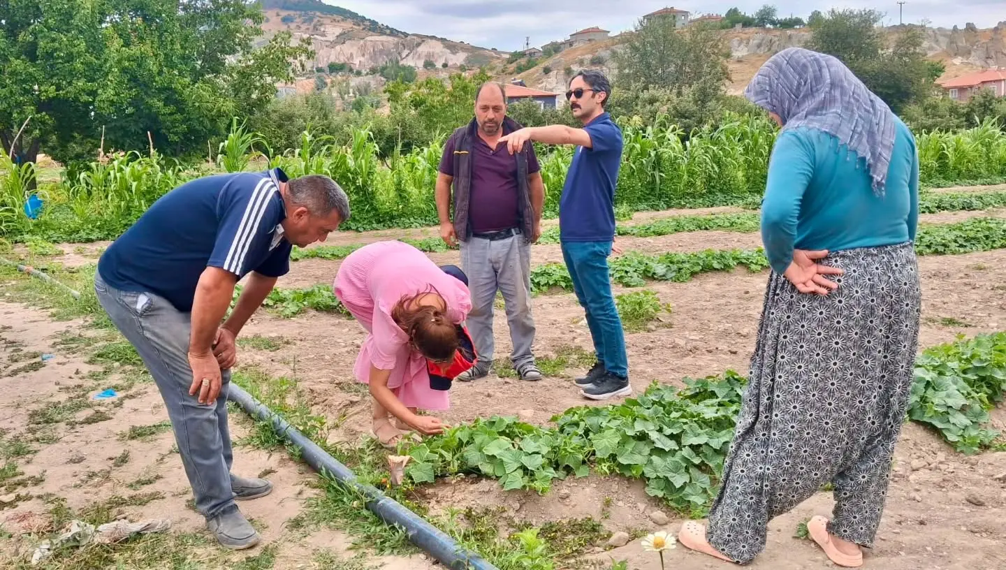 Hastalık ve zararlılarla mücadele sürüyor