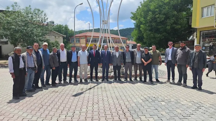 Taşoluk Beldesi'nde Dolu Yağışı Zarar Verdi