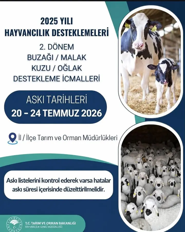 Buzağı ve Kuzu Destekleme İcmalleri Askıya Çıkarıldı