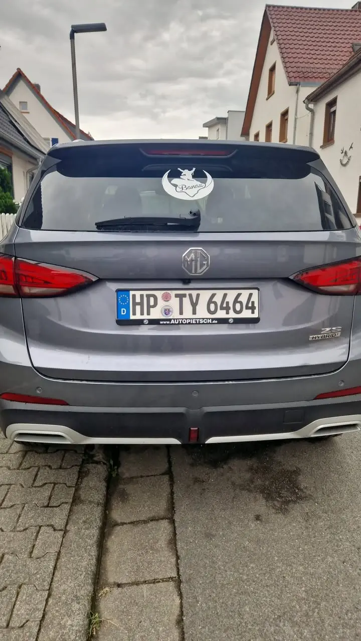 Banaz Logosu Almanya'da Temsil Ediliyor