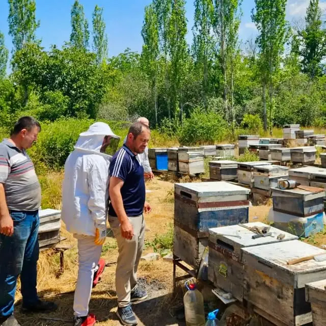 Et işleme tesislerinde resmi kontroller sürüyor