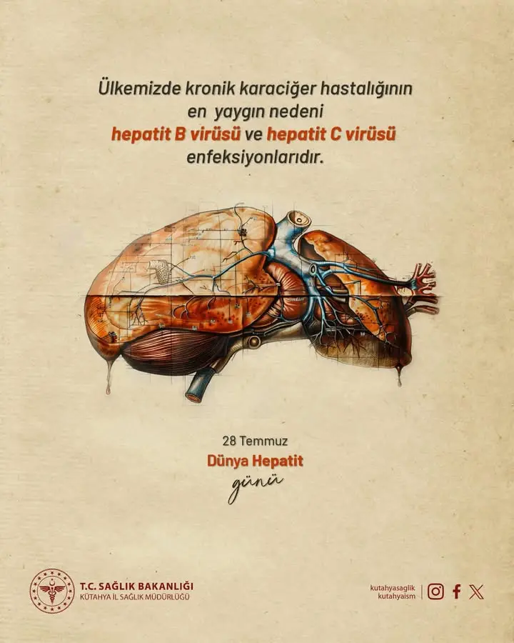 28 Temmuz Dünya Hepatit Günü kutlanıyor