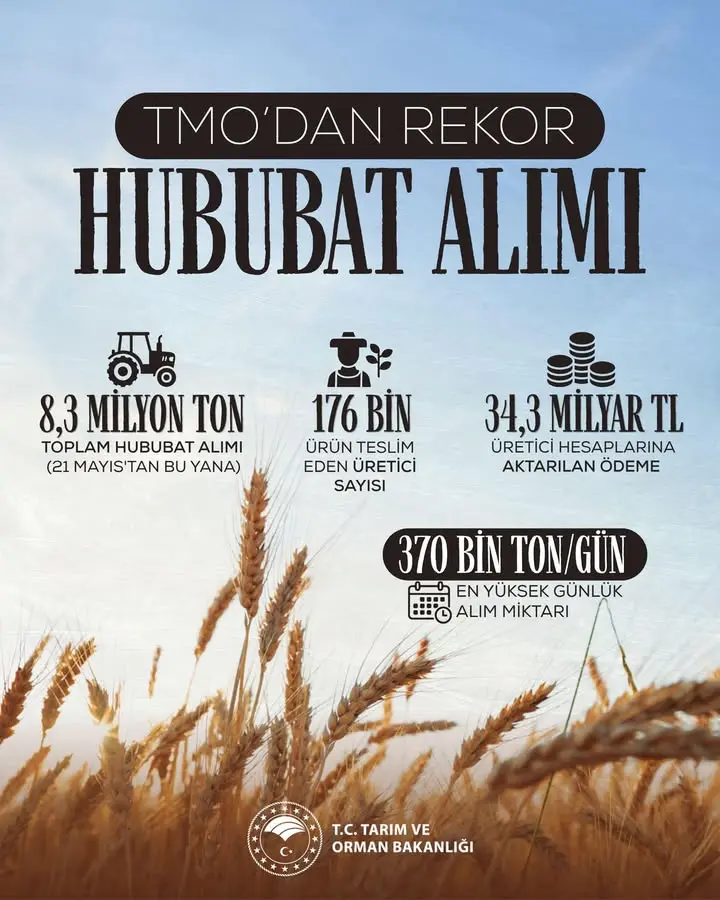 TMO, Çiftçilere Rekor Alım Hızı Sağlıyor