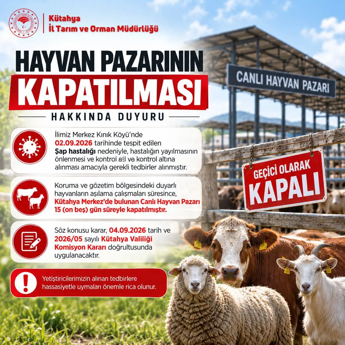 Kütahya'da Hayvan Pazarı Geçici Olarak Kapatıldı