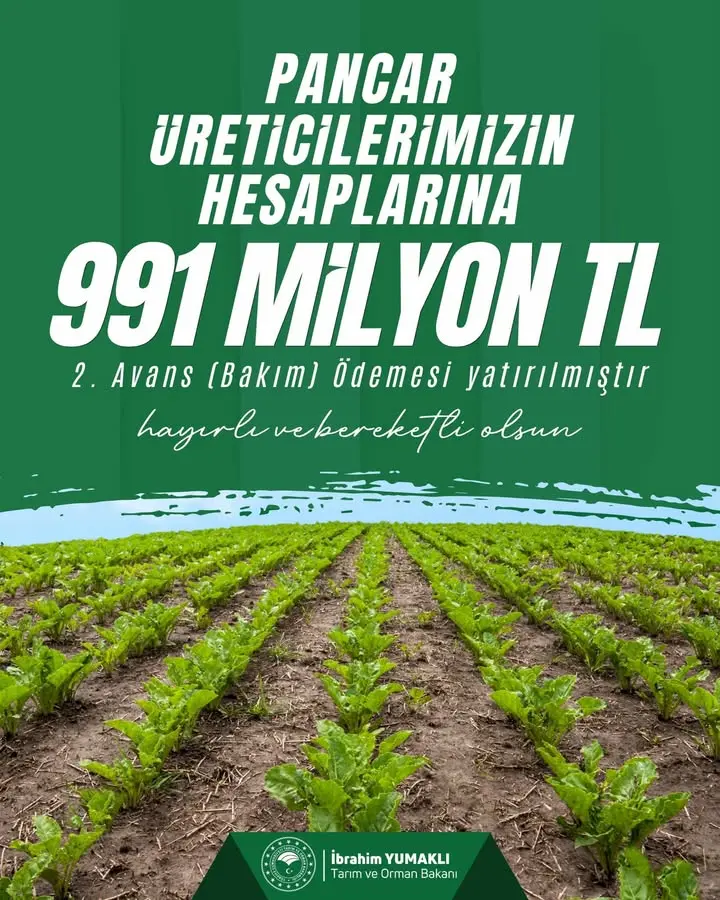 Pancar üreticilerine 991 milyon TL avans ödemesi