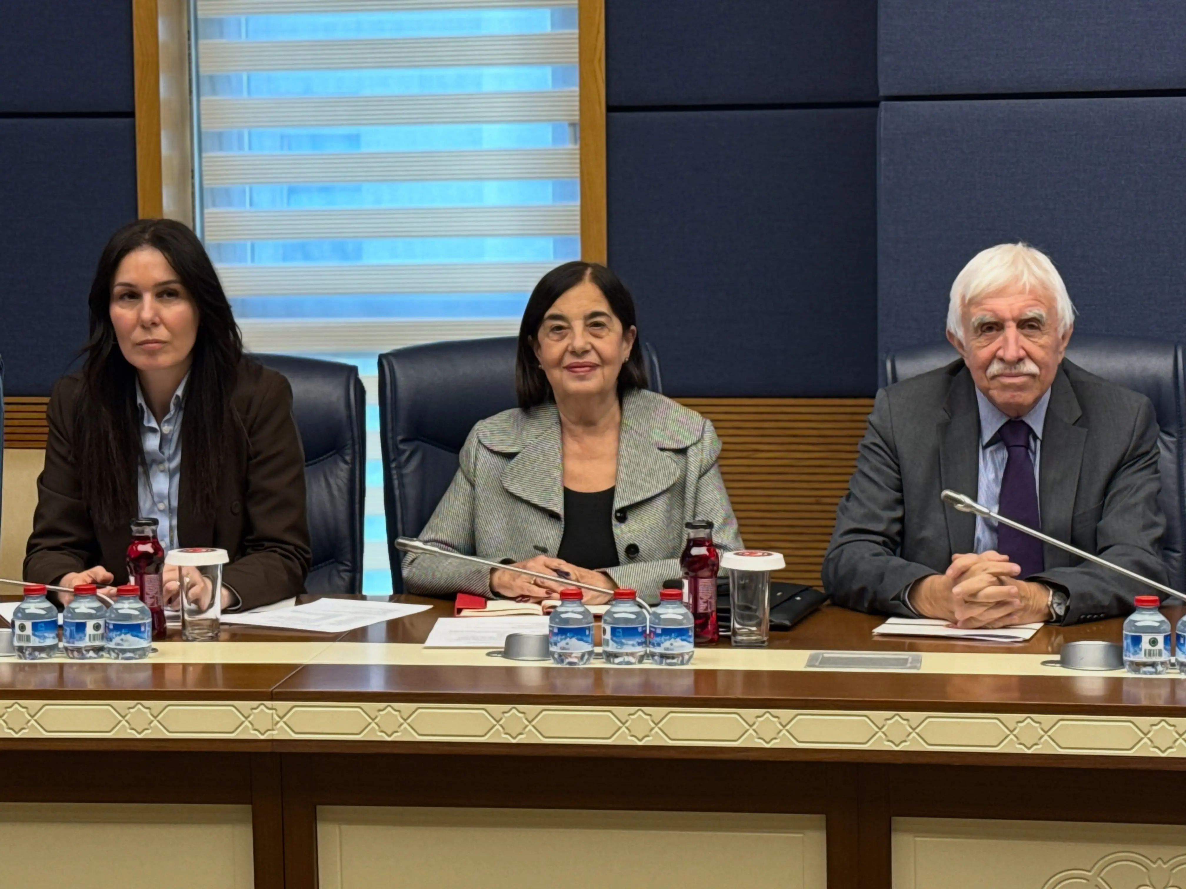 Türkiye-Avrupa Birliği Karma Parlamento Komisyonu Toplantısı