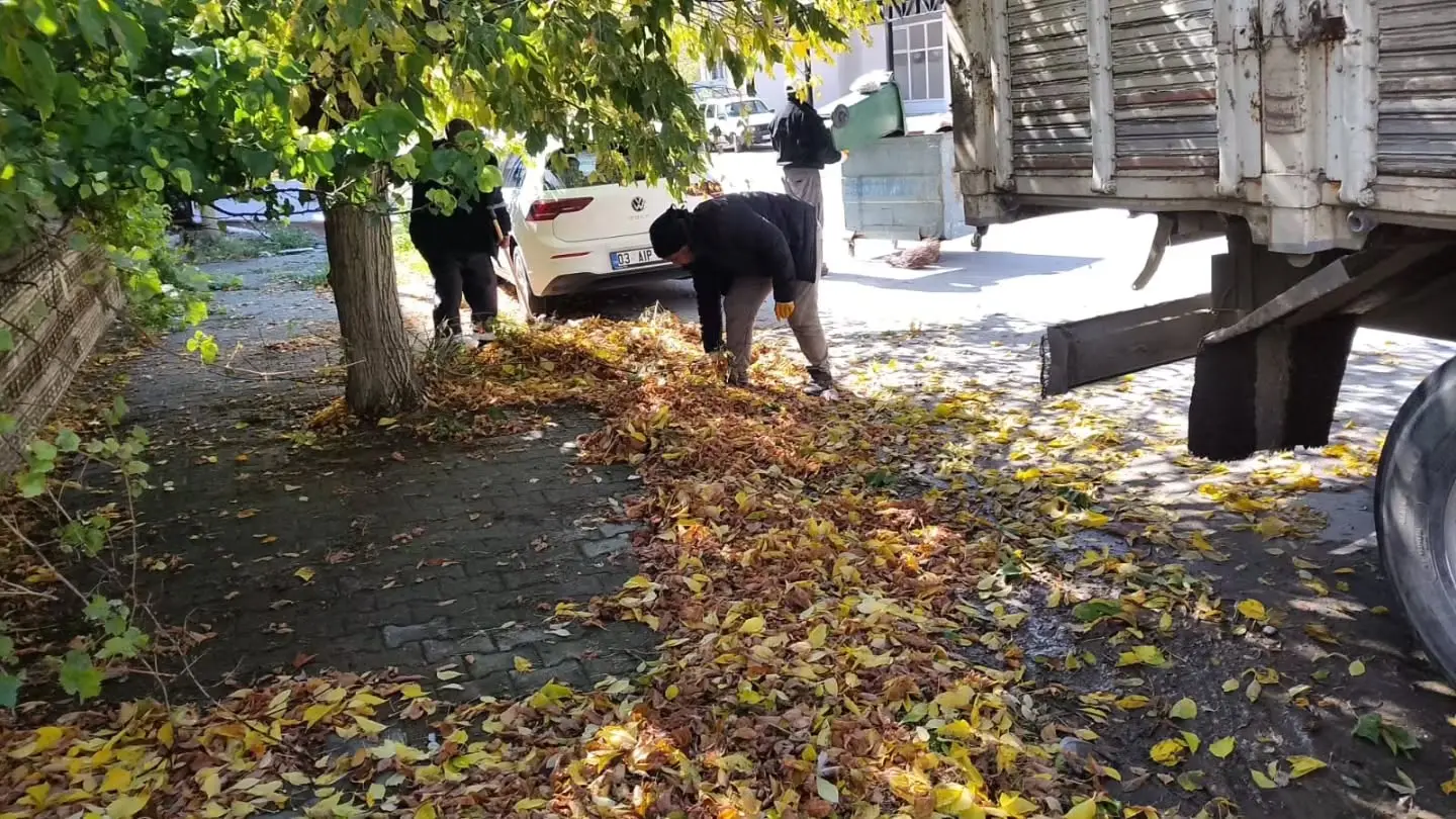 Yeni Mahalle'de Temizlik Çalışmaları Devam Ediyor