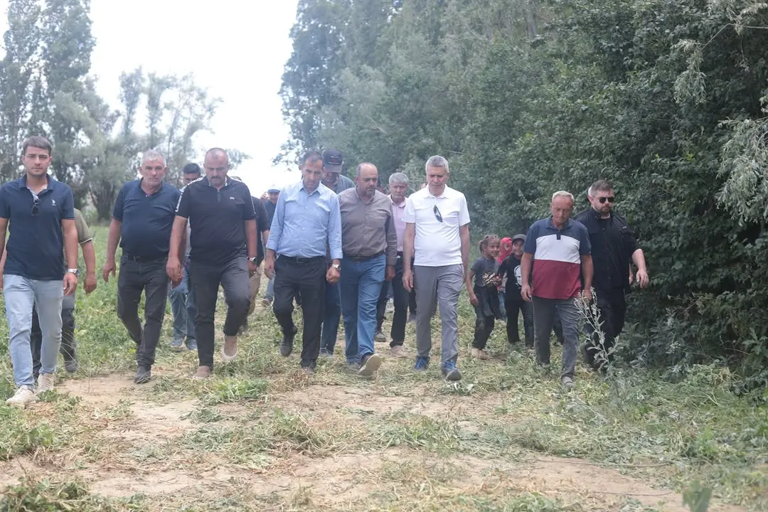 Afyonkarahisar, bezelye üretiminde öne çıkıyor
