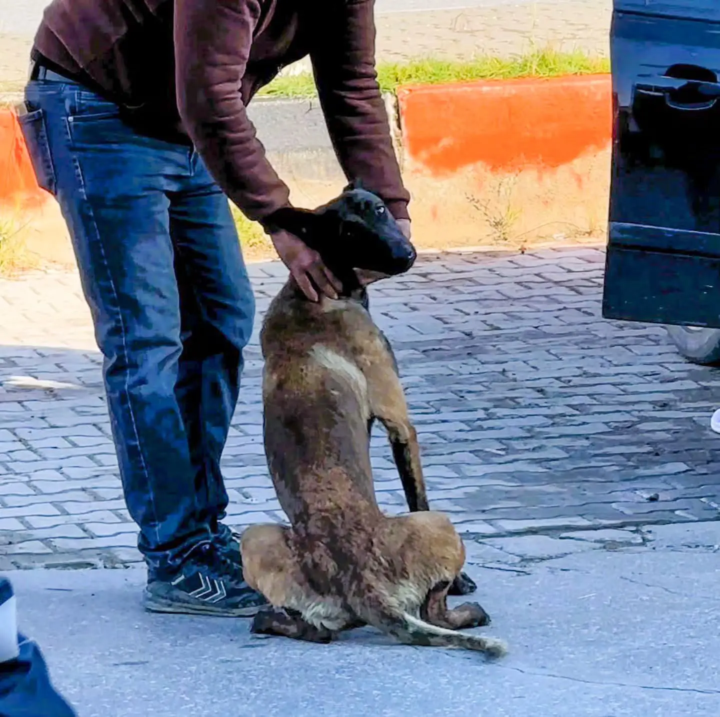 Dazkırı'da köpek saldırısı sonrası acil şifalar dilendi