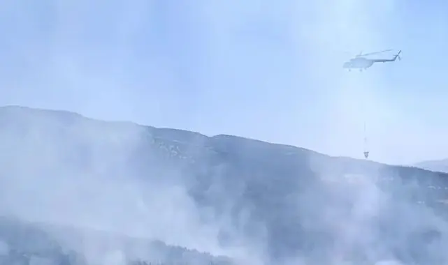 Sivaslı'da Ormanlık Alanda Yangın Çıktı