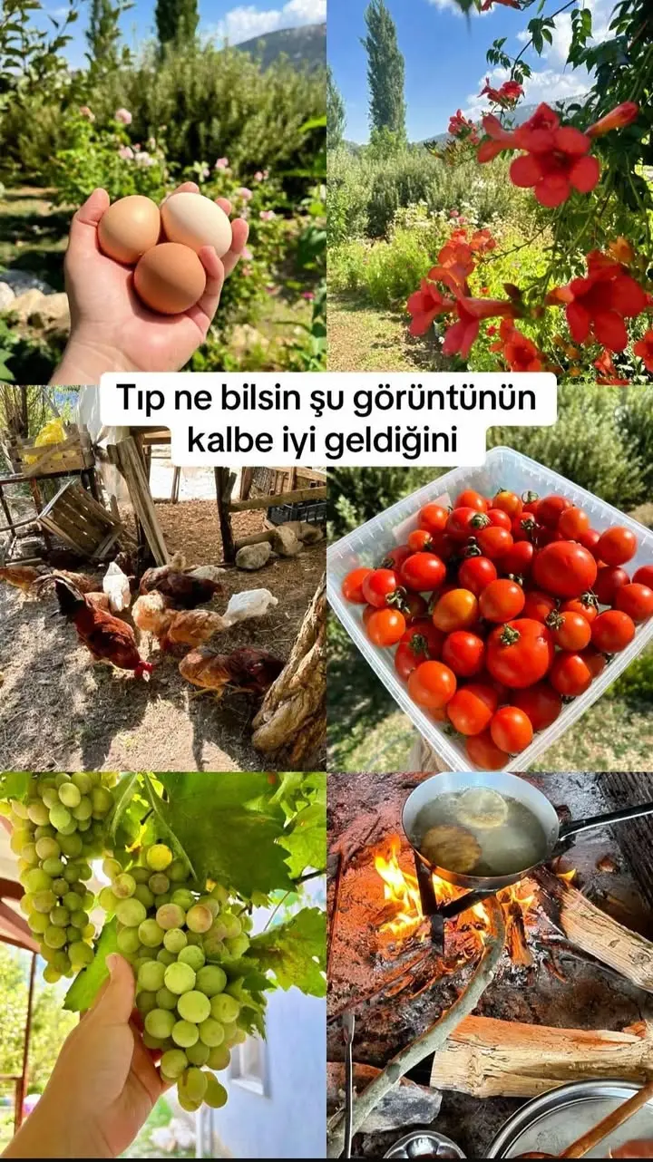 Banaz Belediyesi'nden Kalp Sağlığına Dikkat Çeken Paylaşım