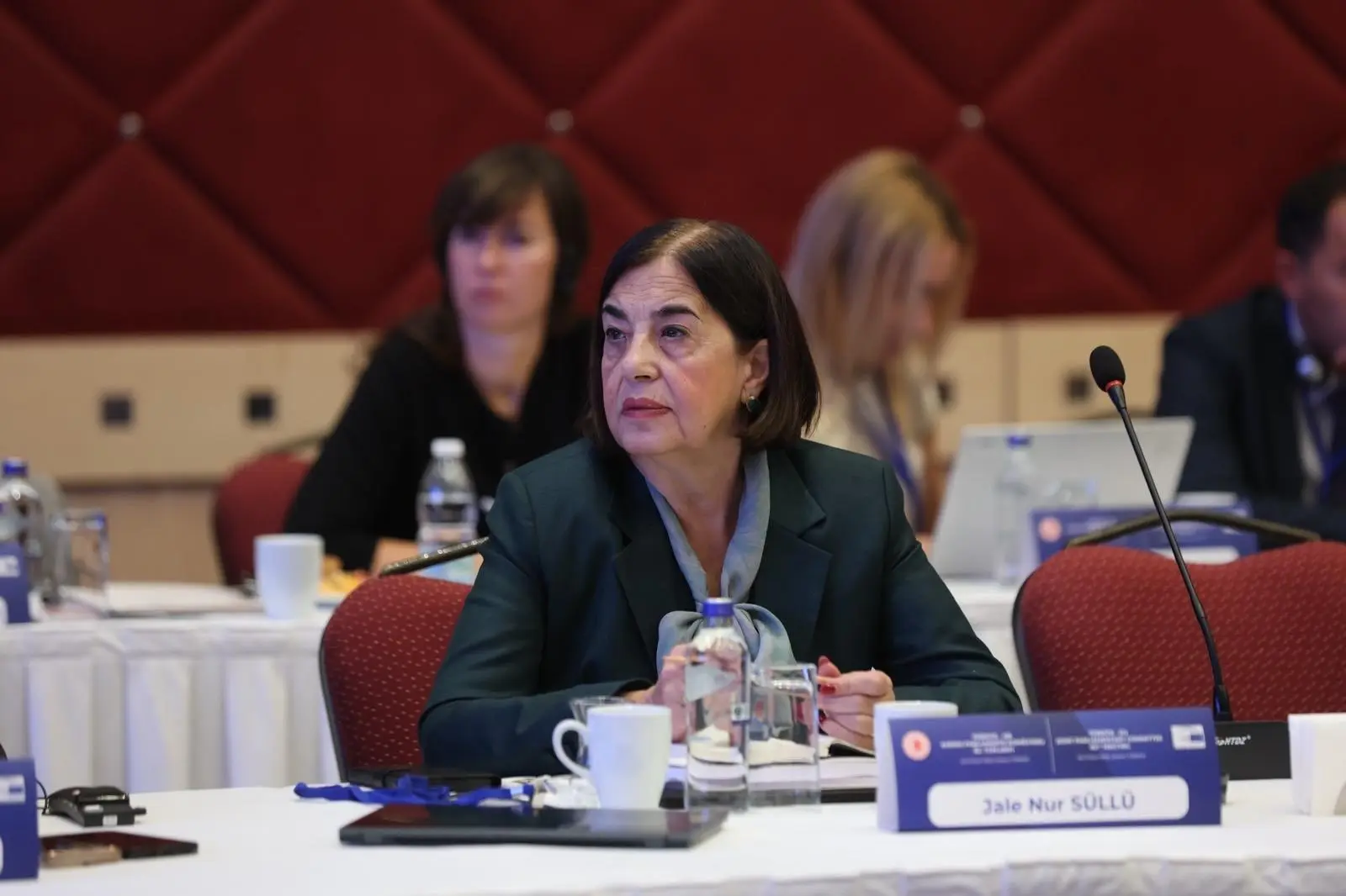 Türkiye-AB Karma Parlamento Komisyonu Toplantısı Gerçekleşti