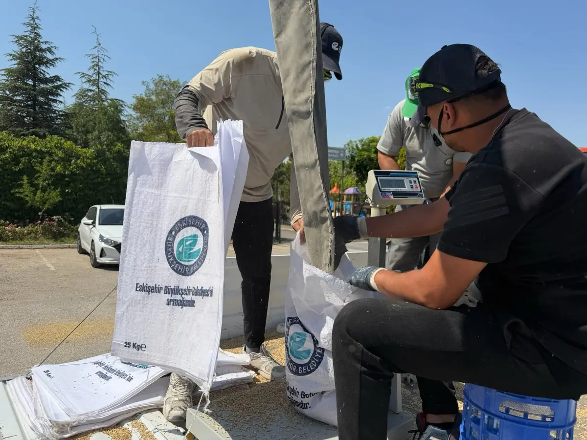 Eskişehir'de 77 ton arpa hasadı yapıldı