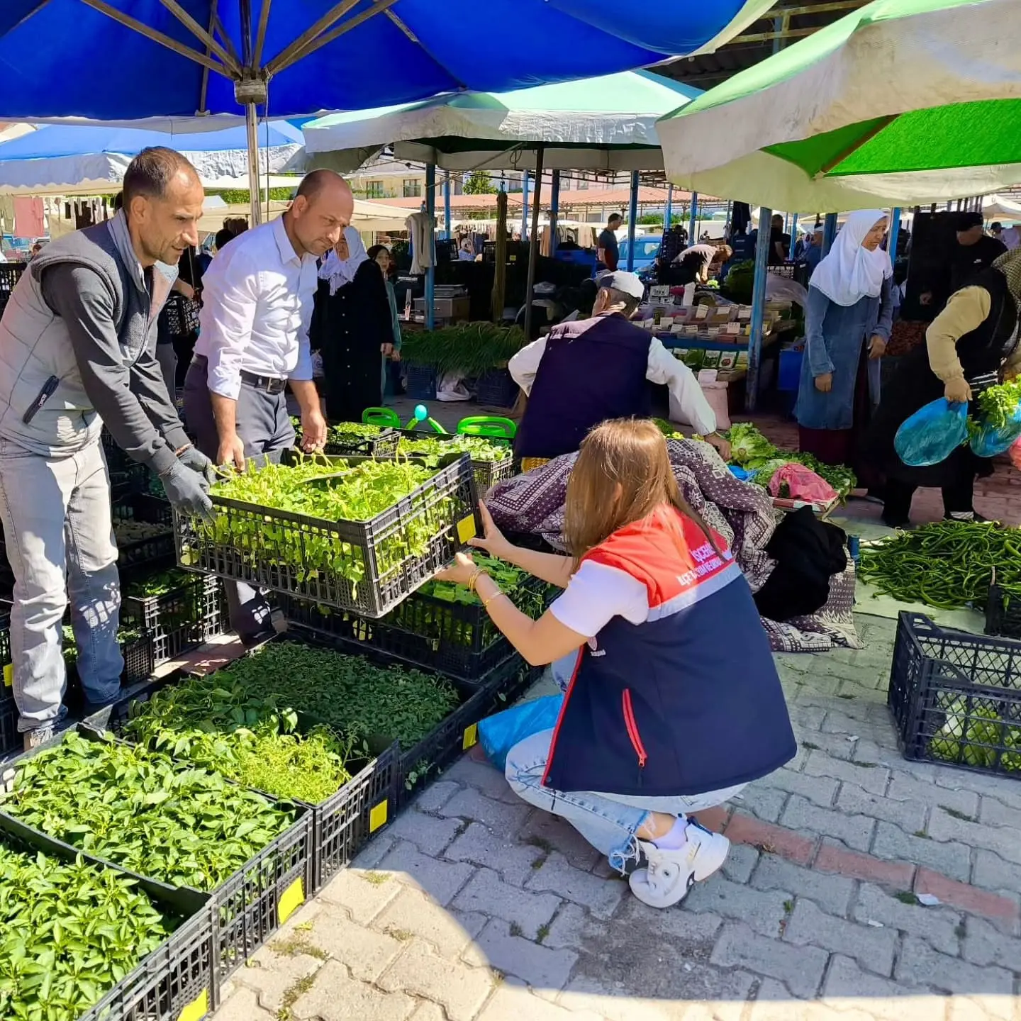 Pazar yerlerinde tohum ve fide denetimleri yapıldı