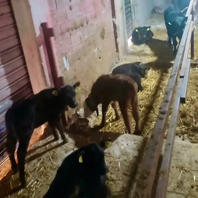 Uzaktan Algılama Arazi Tespit Çalışmaları Devam Ediyor