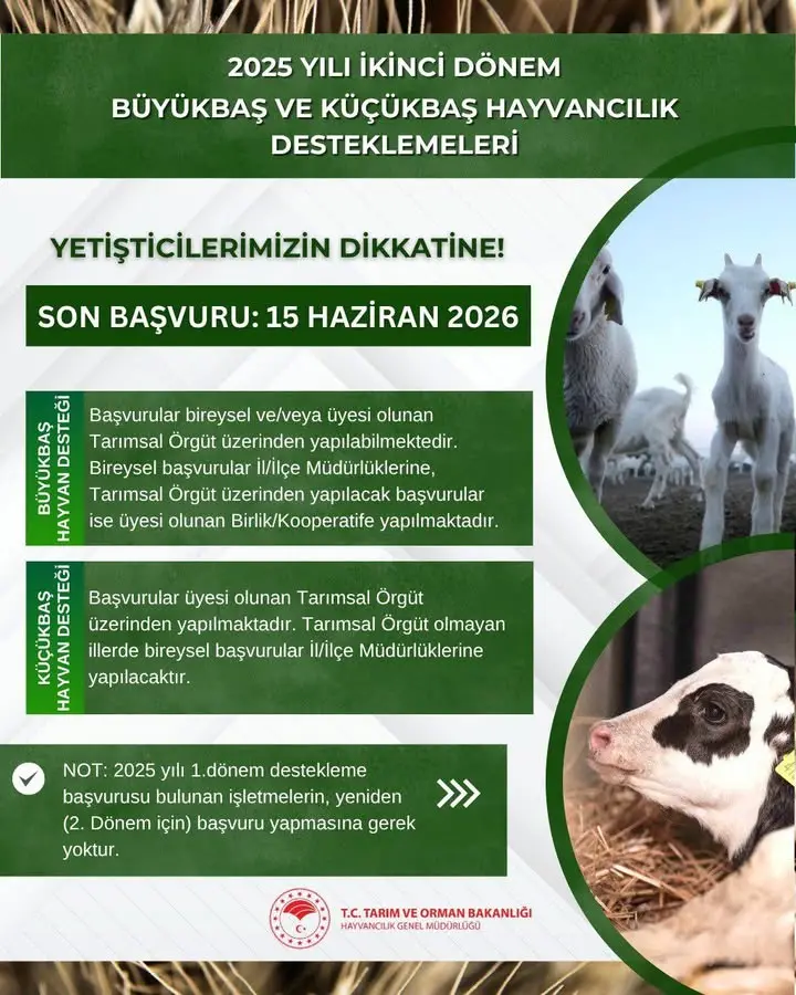 Hayvancılık Desteklemeleri İçin Başvurular Başladı