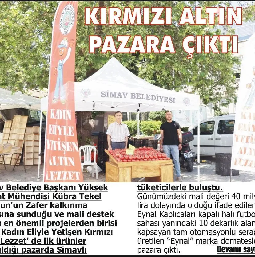 Kadın Eliyle Yetişen Domatesler Pazara Sunuldu