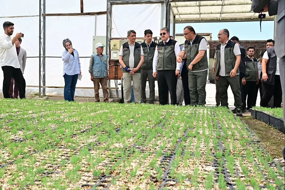 Vali Yılmaz, Orman Fidanlık Müdürlüğünü Ziyaret Etti