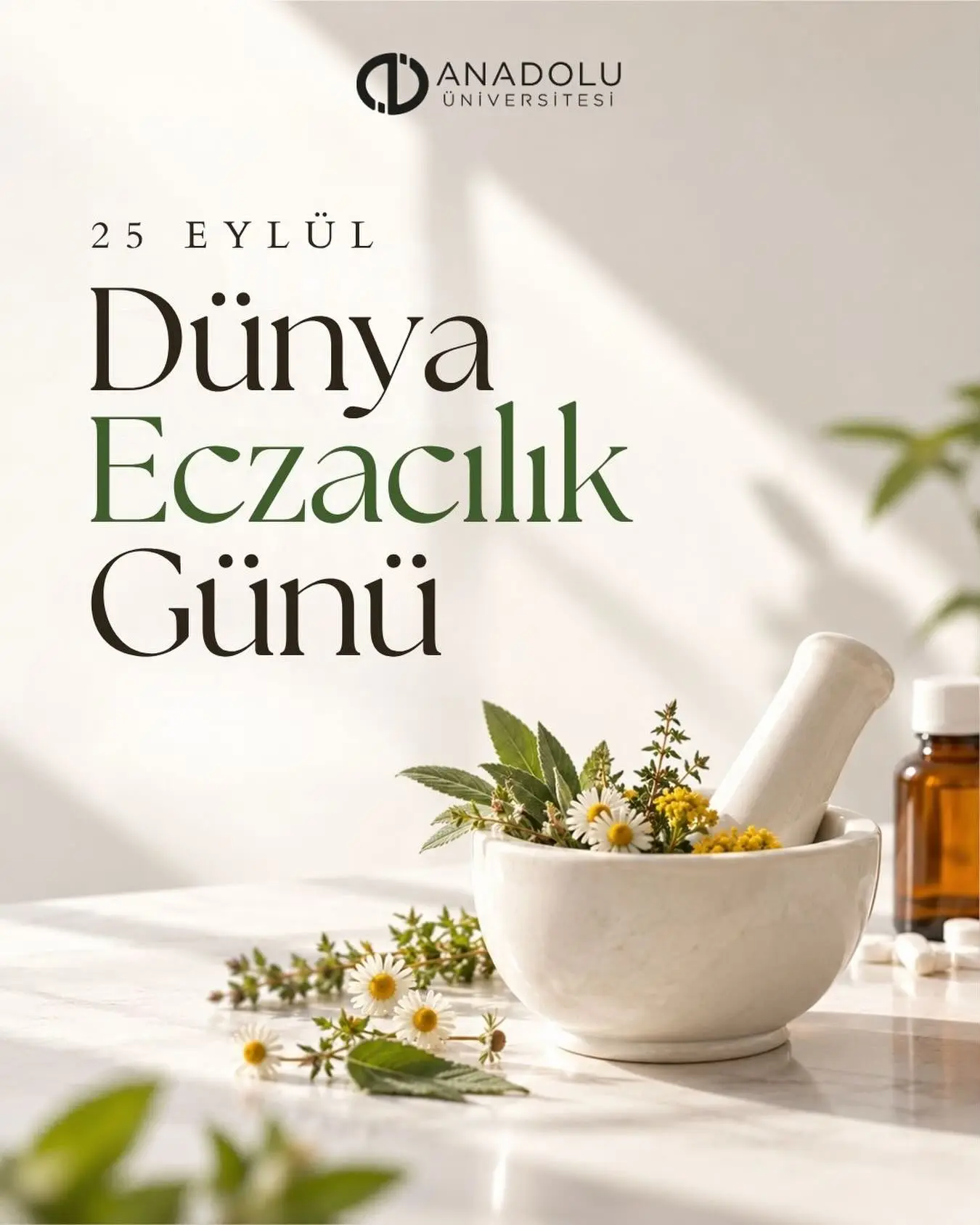 Dünya Eczacılığı Günü kutlamaları başladı