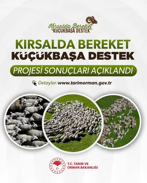 Masa Tenisi Takımı, Turnuvada İl 3'üncüsü Oldu