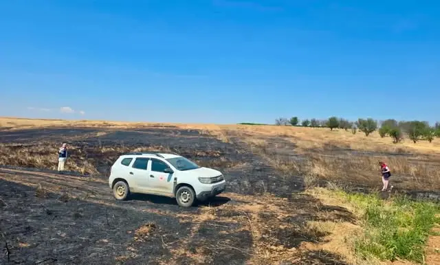 Hayvancılıkta kayıtlılık çalışmaları sürüyor
