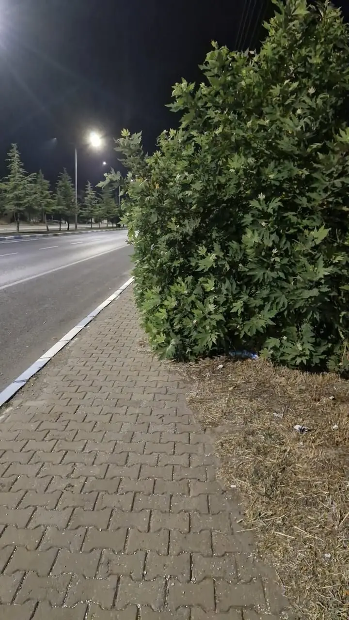 Banaz Belediyesi'nden ağaç sorunu açıklaması