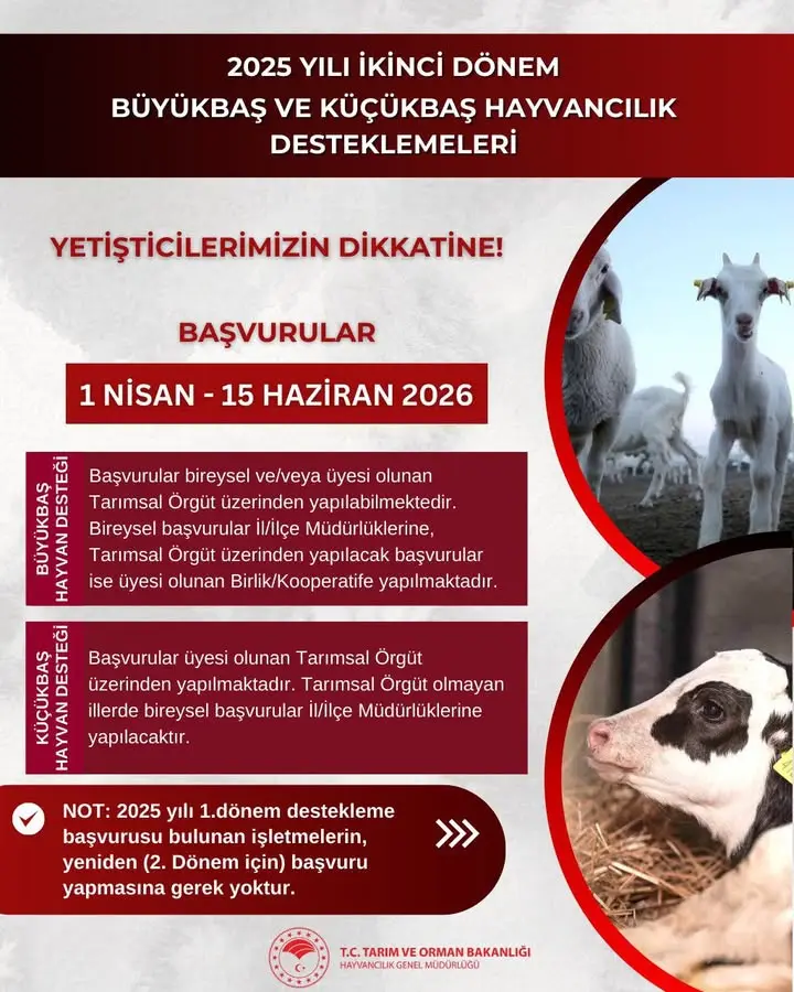 2026 Yılı Hayvancılık Destekleme Başvuruları Duyuruldu