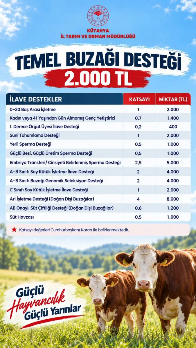 Buzağı desteği 2.000 TL olarak belirlendi