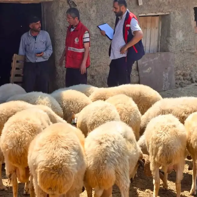 Arılı kovan tespit ve kontrolleri sürüyor