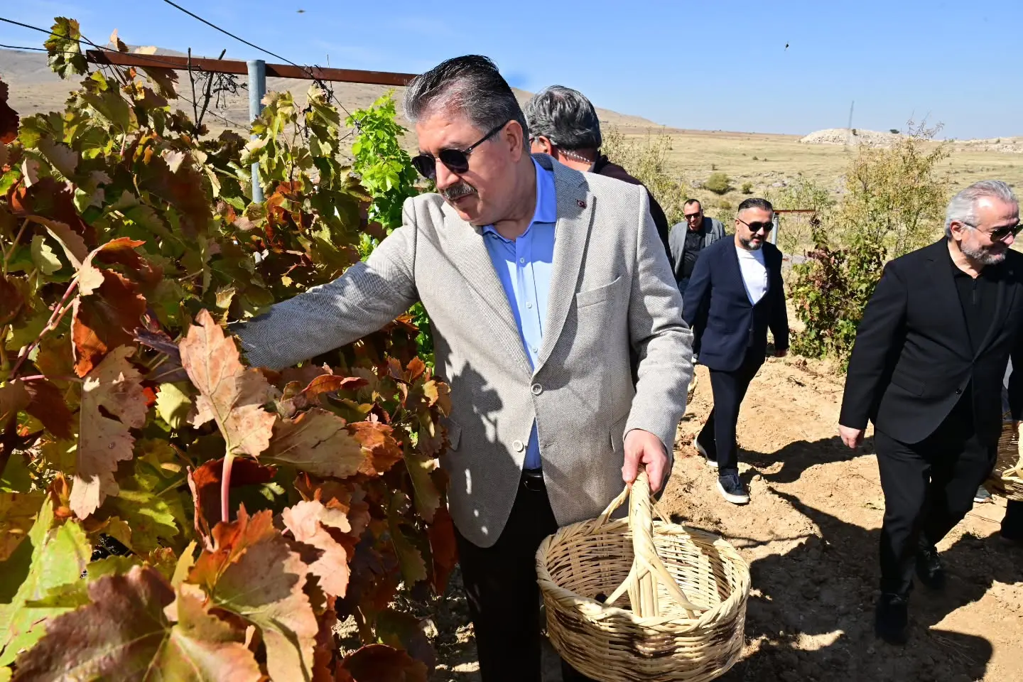 Günyüzü'nde üzüm hasadı etkinliği düzenlendi