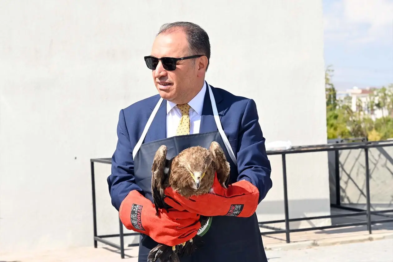 Tedavi edilen kuşlar doğaya salındı