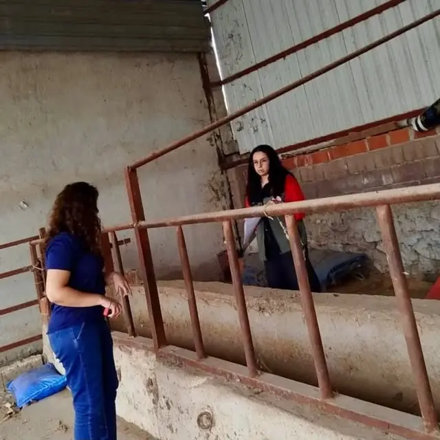 Meyve bahçelerinde hastalık kontrolleri sürüyor