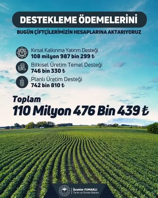Toprak Etüt ve Haritalama Çalışmaları