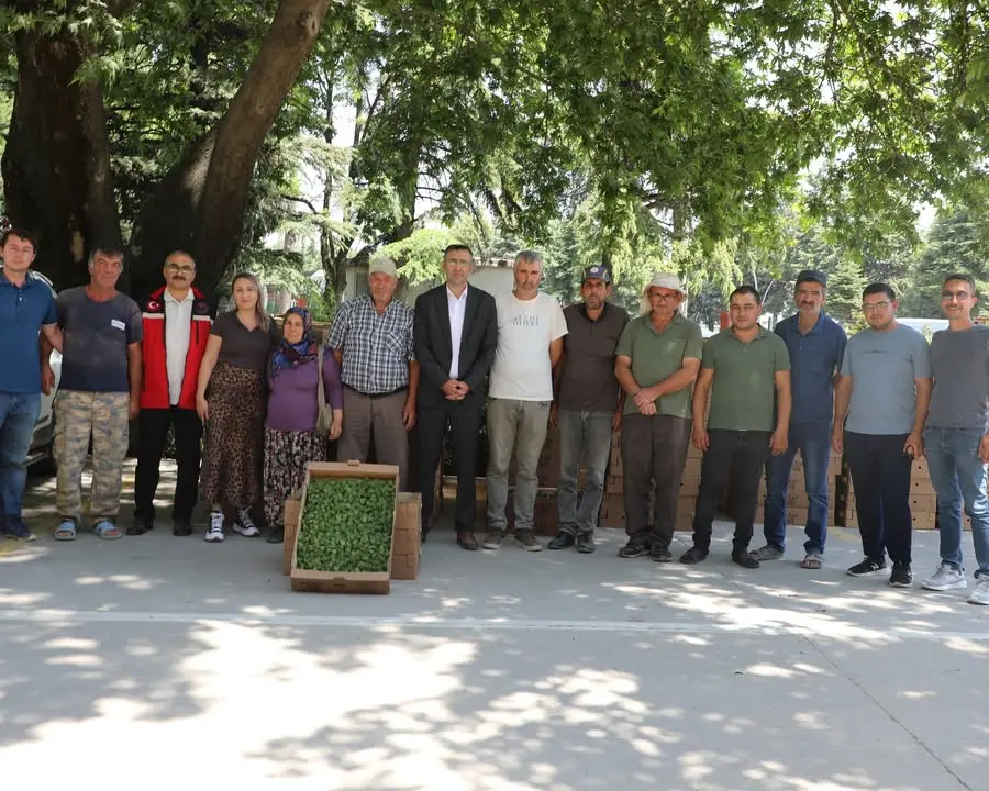 Uşak'ta Kışlık Sebze Fide Dağıtımı Yapıldı