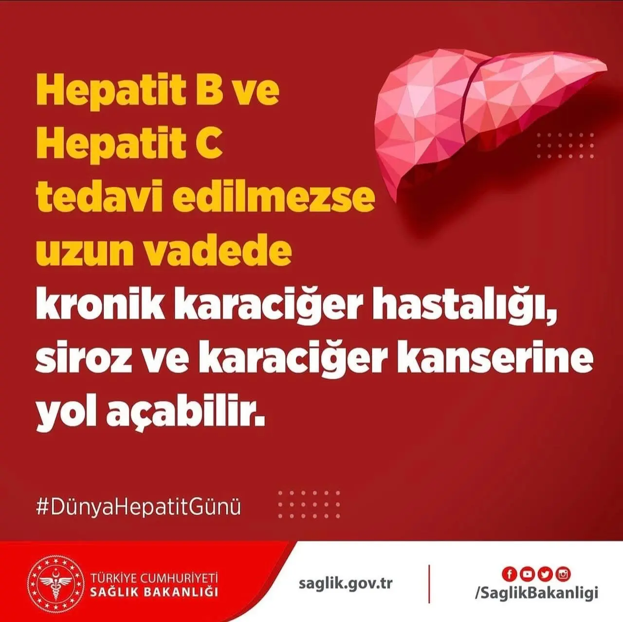 Hepatit B ve C tedavisinin önemi vurgulandı
