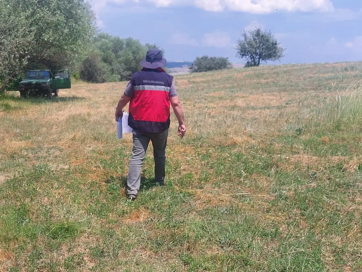 Gediz'de ÇKS Ürün Beyanları İçin Saha Çalışması