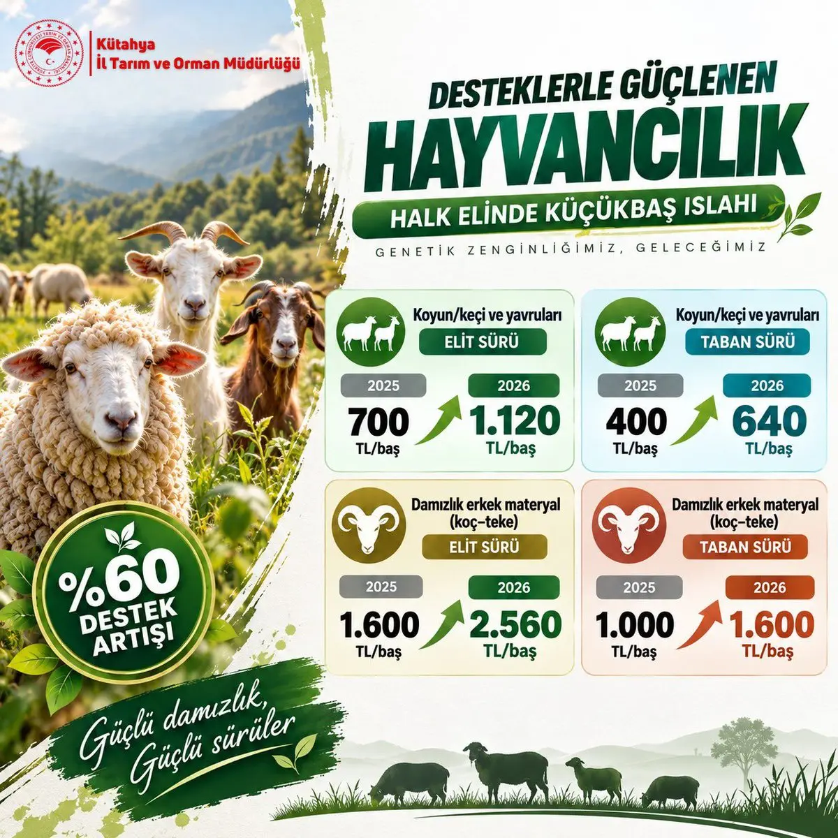 Hayvancılık destekleri 2026'da artacak