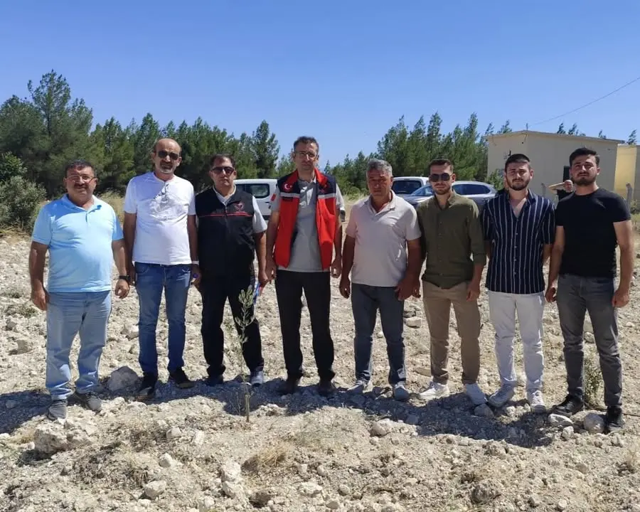 Uşak'ta Gemlik Zeytini Adaptasyon Çalışmaları Devam Ediyor