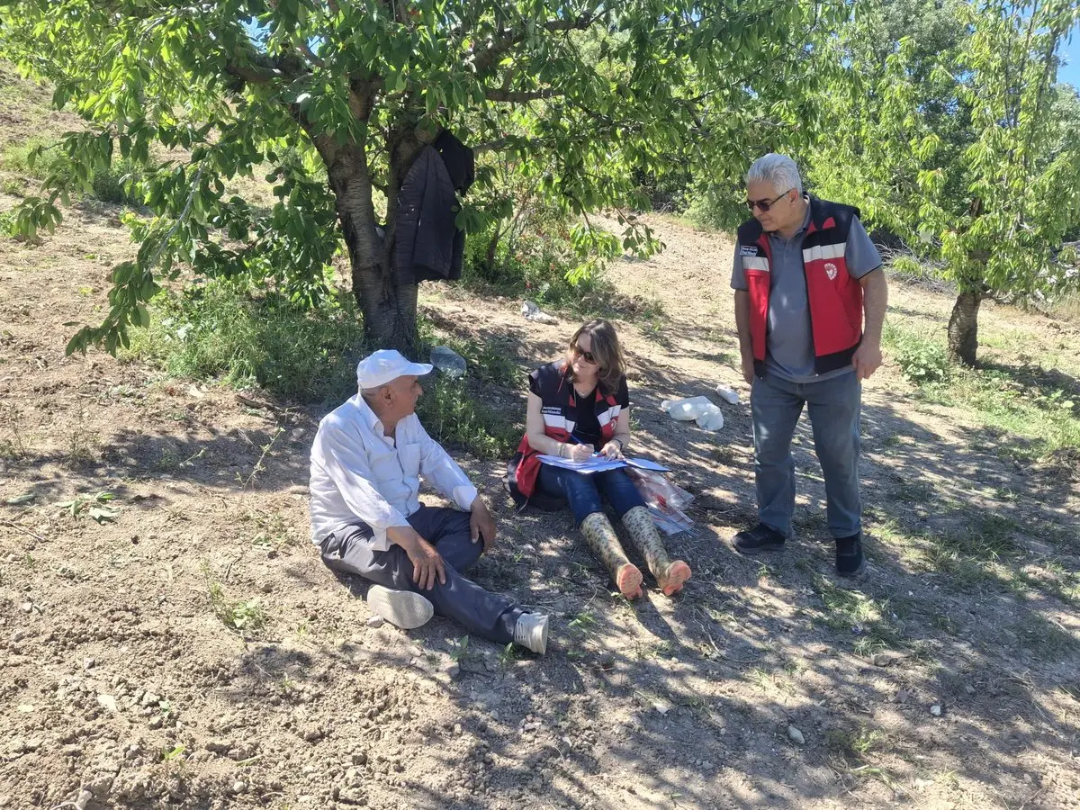 Kütahya'da Kiraz Hasadı Öncesi Denetimler Başladı