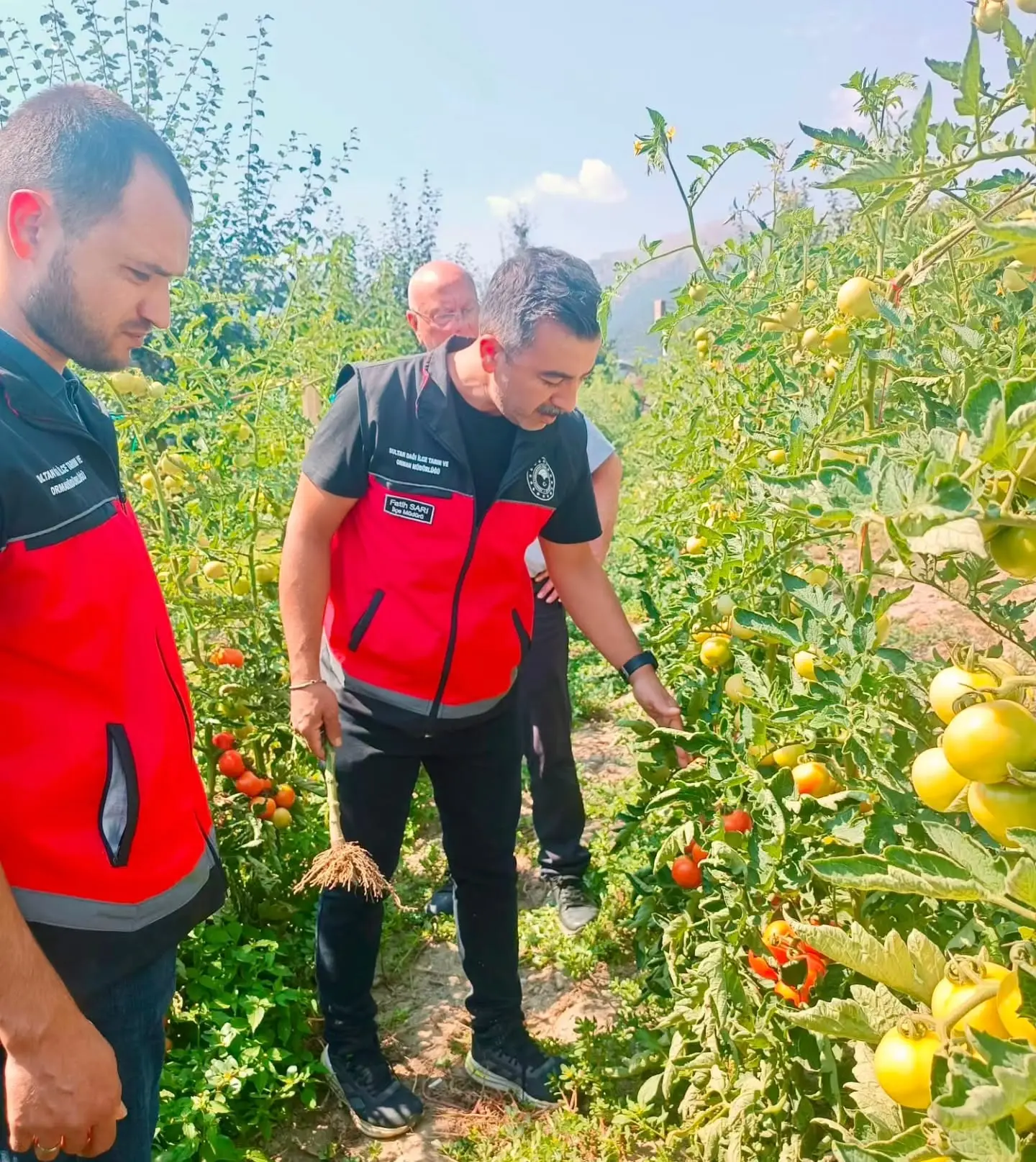 Sebze üretim alanlarında hastalık kontrolleri sürüyor