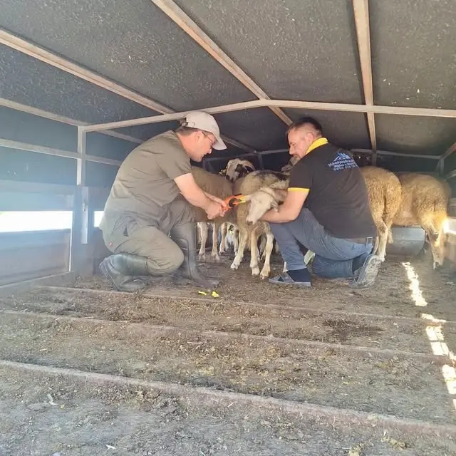 Hububat Hasadı Döneminde Yangın Tedbirleri