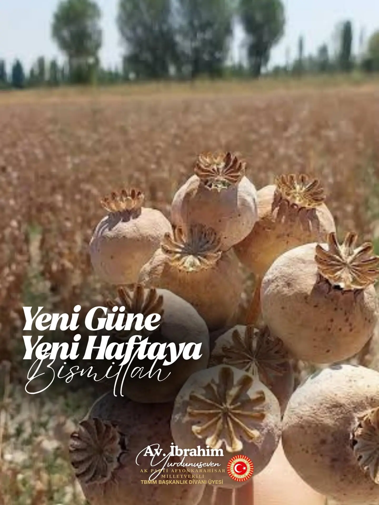 Yeni haftaya bereketli başlangıç mesajı