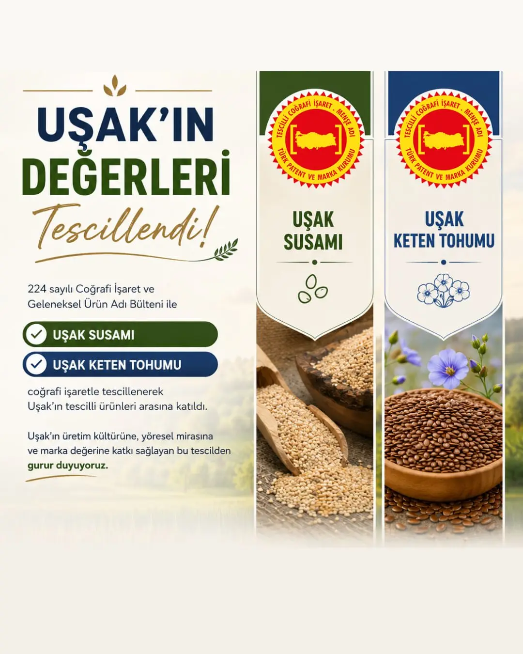 Uşak Susamı ve Keten Tohumu Tescillendi