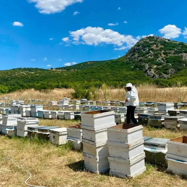 Dondurulmuş Kiraz İhracatı Denetimleri